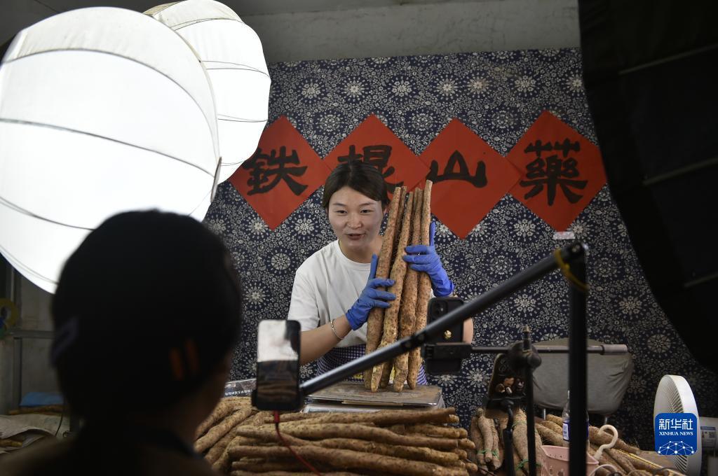 淘金大赢家